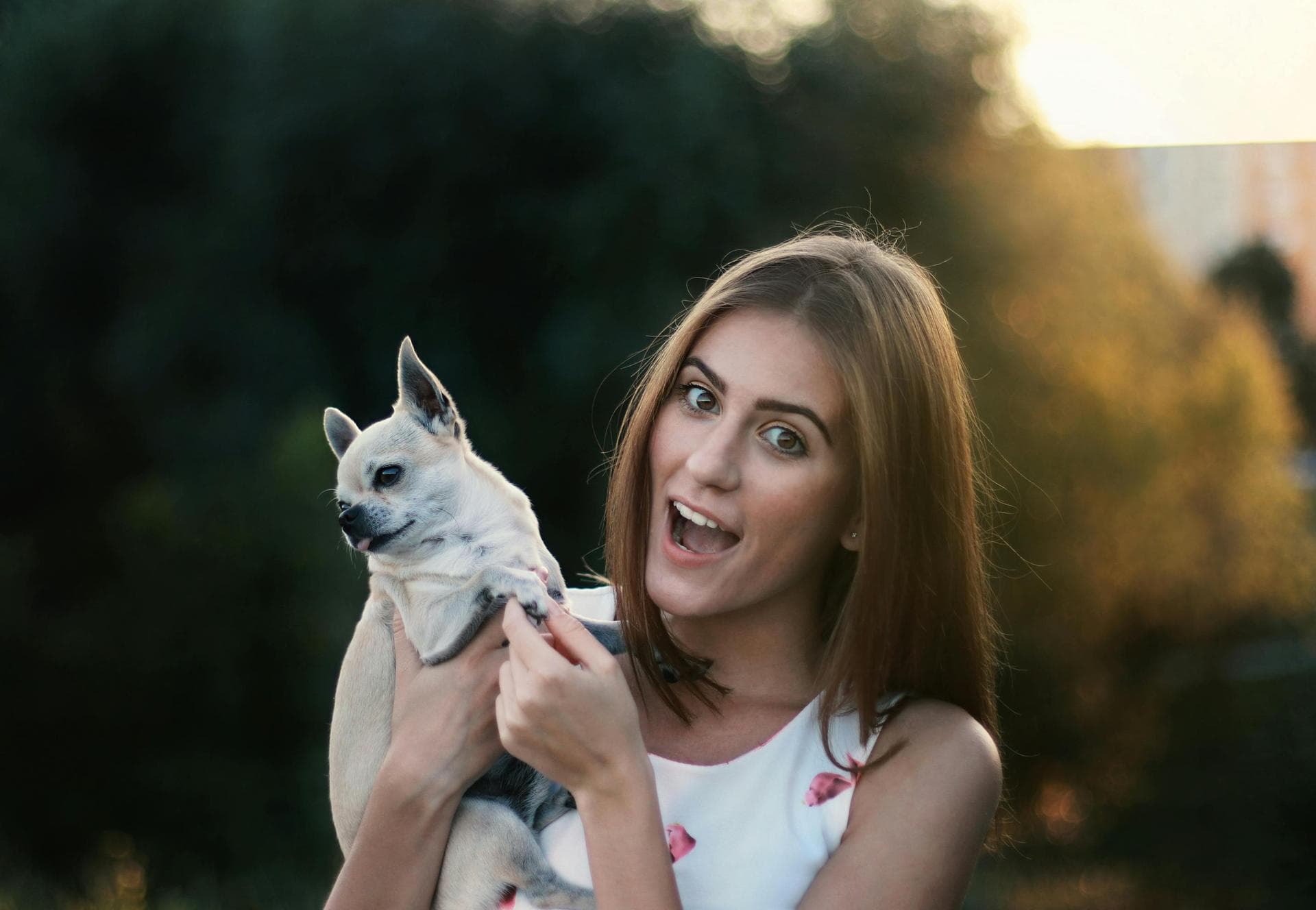 Dog & Cat Vets in Madison